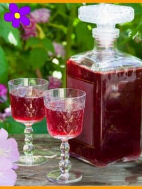 Maraschino