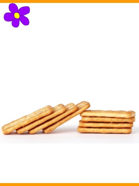 Gallette
