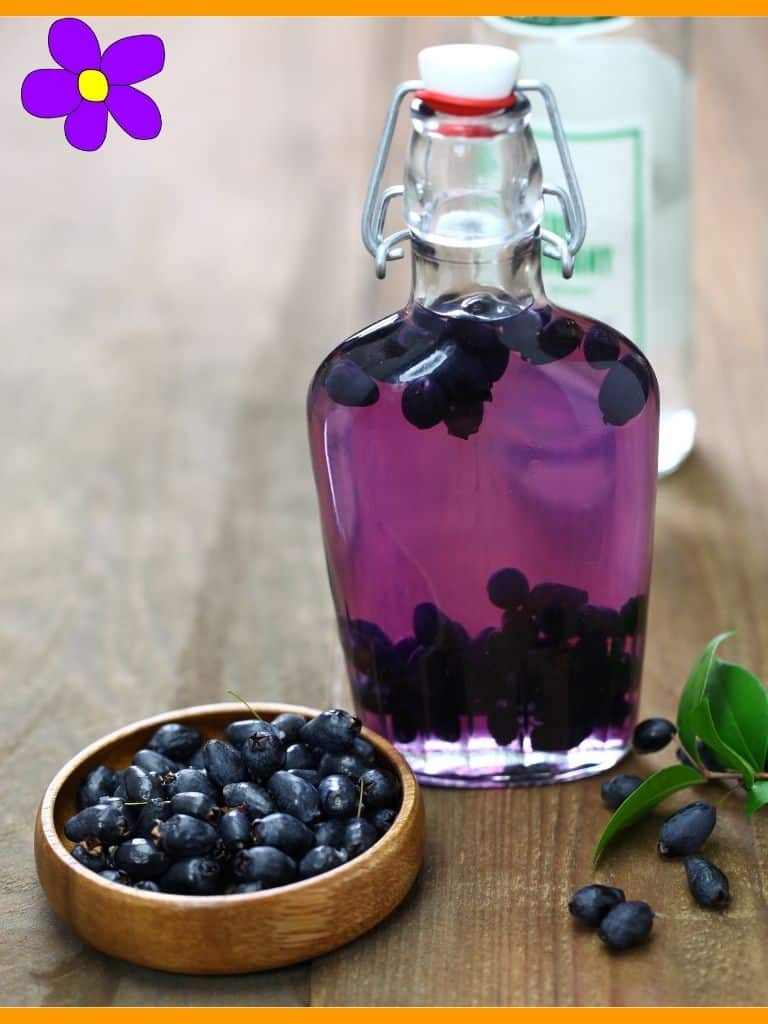 Mirto liquore