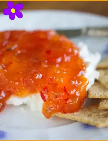 Salsa ai peperoni