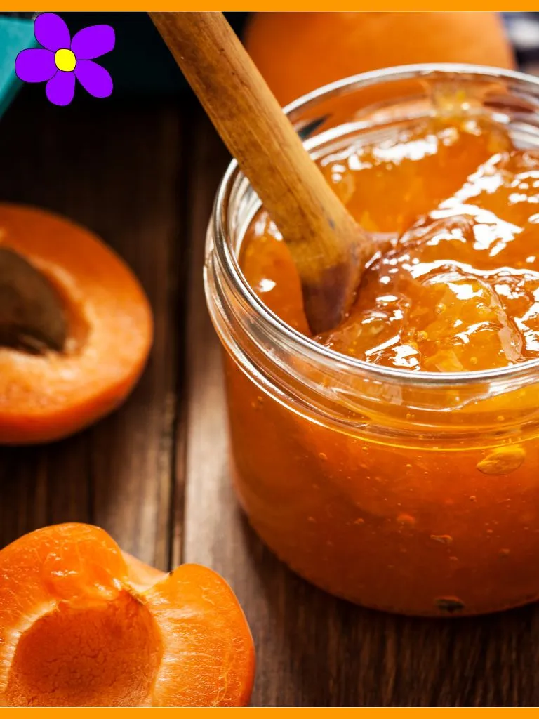 Marmellata di albicocche Bimby