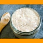 Lievito madre ricetta