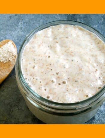 Lievito madre ricetta