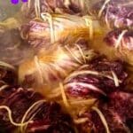Involtini di radicchio
