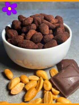 Arachidi ricoperte di cioccolato