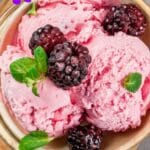 gelato ai frutti di bosco