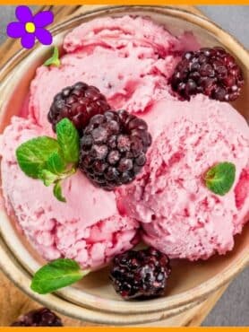 gelato ai frutti di bosco