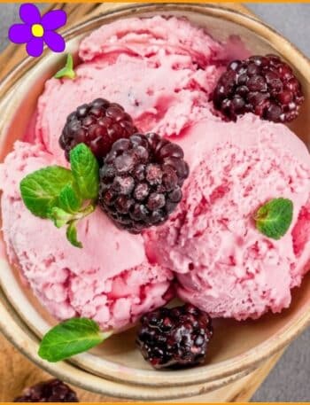 gelato ai frutti di bosco