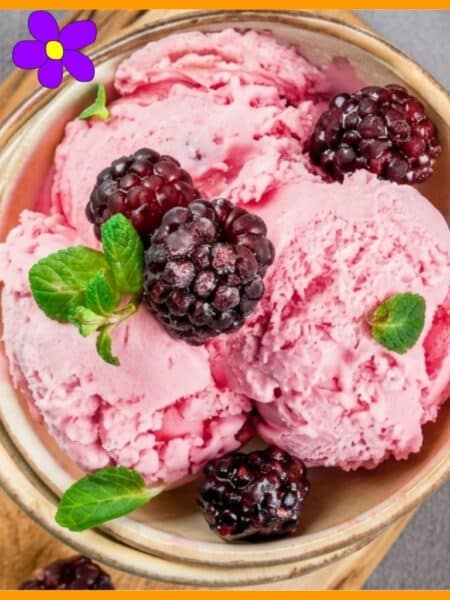 gelato ai frutti di bosco